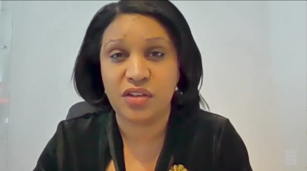 Janet speaking in Chamber