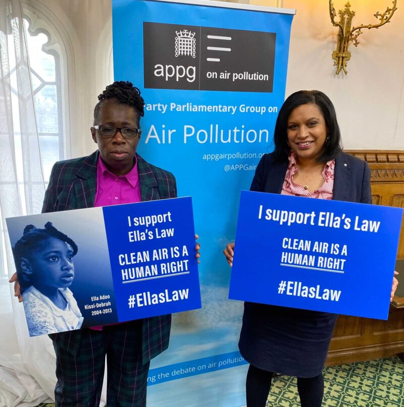 Janet Daby MP with Rosamund Adoo-Kissi-Debrah at an event in Parliament to support Ella