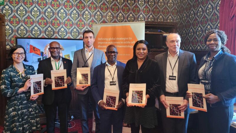 Janet Daby with other speakers at the Parliamentary launch of the Lancet’s publication on the need for a global strategy to improve outcomes in Sickle Cell Disease