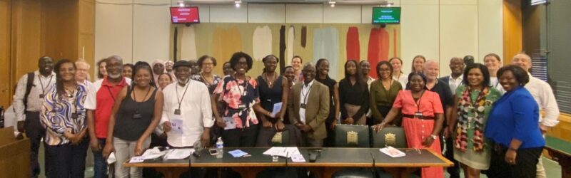Janet Daby at the Sickle Cell and Thalassemia All-Party Parliamentary Group Annual General Meeting with stakeholders.