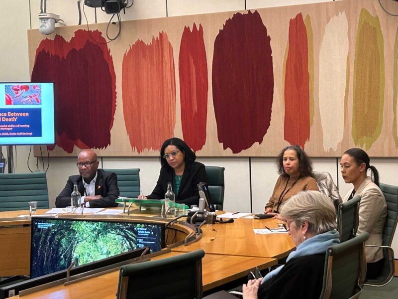 Janet Daby MP chairing a meeting of the Sickle Cell & Thalassemia APPG alongside Parliamentarians, members of the Sickle Cell Society and speakers at the meeting.