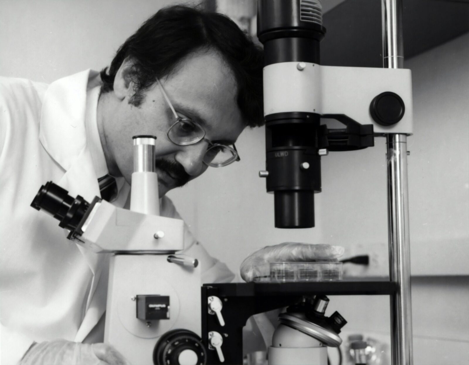 A man looking at a petri dish on a microscope